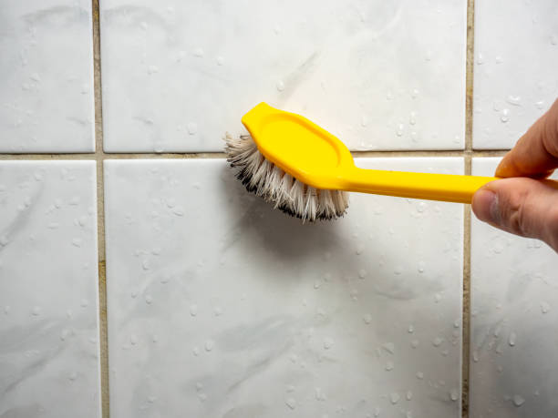 Trusted Rancho Calaveras, CA Mold Removal Experts