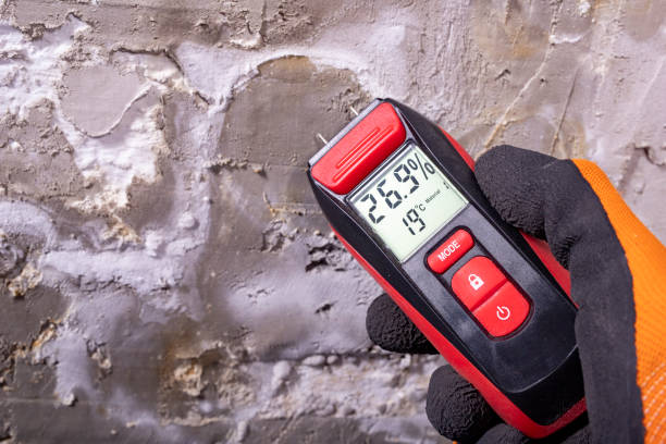 Best Mold Removal Company Near Me  in Rancho Laveras, CA