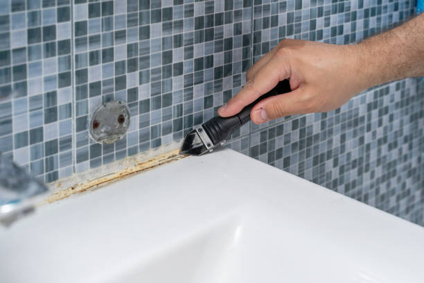 Best Office Mold Removal Services  in Rancho Laveras, CA