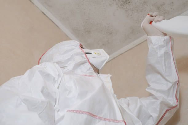 Best Mold Removal Near Me  in Rancho Laveras, CA
