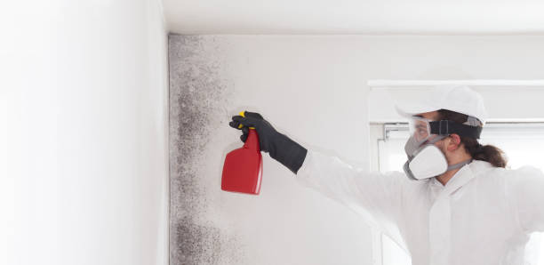 Best Mold Testing  in Rancho Laveras, CA
