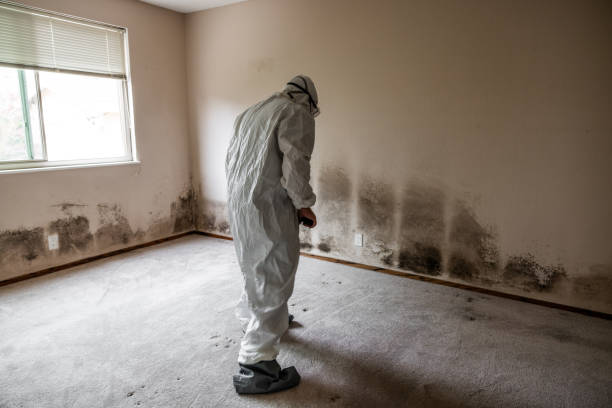 Best Mold Testing  in Rancho Laveras, CA